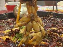 -烧哥美蛙肥肠鱼火锅·十五年社区店