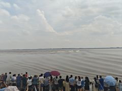 -观潮胜地公园