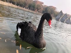 -上海交通大学闵行校区-包玉刚图书馆