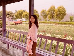 -广东花都香草世界旅游度假区