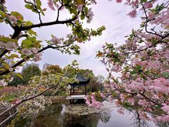 -月湖风景区