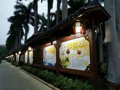 -金花茶公园