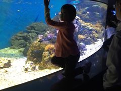 -成都浩海立方海洋公园