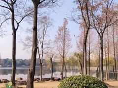 -南翔镇银翔湖公园