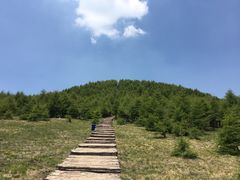 -红崖峡谷景区