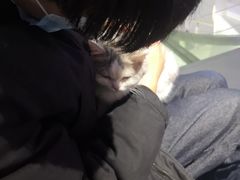 -极木²邸 人与宠物·互动社区