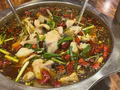 -乡土特色.冷锅鱼.牦牛肉汤锅