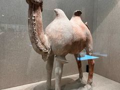 -敦煌市博物馆