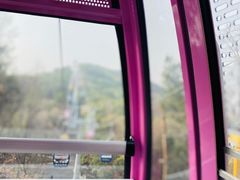 -东湖磨山景区