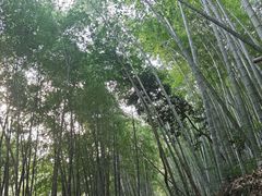 -黄山翡翠谷景区