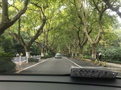 -阳澄湖大闸蟹·琼灵阁牌品牌连锁(吴中总店)