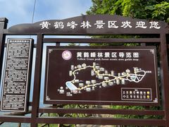 -蝶舞清江·恩施云顶景区(黄鹤峰林)