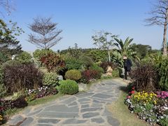 -东莞植物园