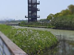 -春花秋色城市公园