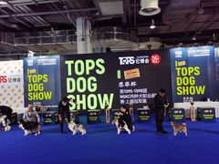 -东浩兰生上海世博展览馆