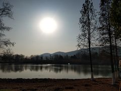-长广溪湿地公园