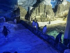 -成都浩海立方海洋公园