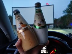 -枫花园汽车电影院(朝阳公园店)