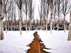 -东郊湿地公园
