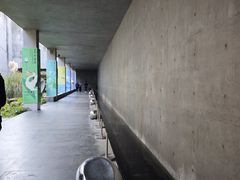 -中国湿地博物馆