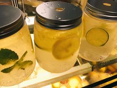 -柴犬高等学院·狗咖·柴犬售卖·宠物训练