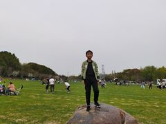 -昆山城市生态森林公园