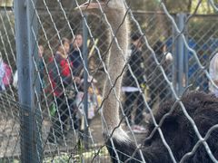 -长白岛森林公园