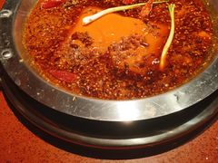 -懂食汇自助火锅