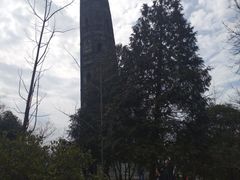 -上海佘山国家森林公园天马山园