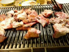 -欢乐牧人蒙古炭烤羊腿(四平路店)