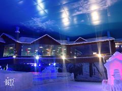 -世界之窗阿尔卑斯冰雪世界