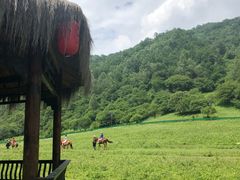 -大水川景区