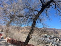 -五台山风景名胜区-罗睺寺