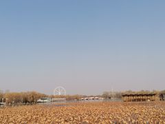 -石家庄市植物园
