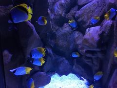 -成都浩海立方海洋公园