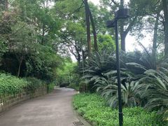 -南山植物园