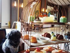 -上海崇明金茂凯悦酒店