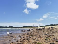 -海驴岛(荣成市)