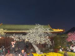 -珠海圆明新园