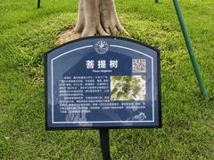 -东莞植物园