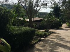 -椰树岛海滩度假村