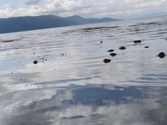 -大理洱海
