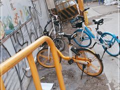 -陈添記·祖傳爽鱼皮·西关老字号(广州首店)