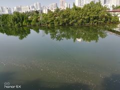 -金鸡岭桥头公园