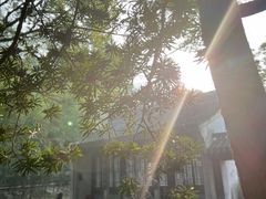 -兰亭风景区