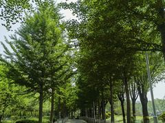 -东升八家郊野公园