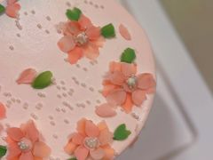 -壹点壹客·生日蛋糕(南山店)