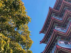 -合江楼