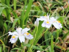 -镇江市南山风景名胜区竹林景区
