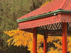-香山公园